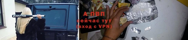 молекула духа Бородино