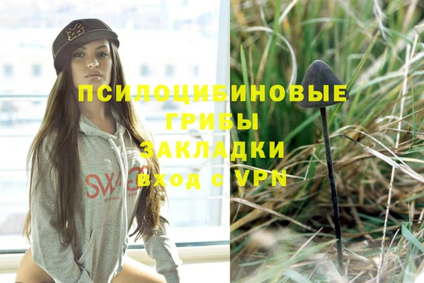 spice Бронницы