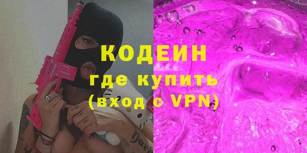 молекула духа Бородино