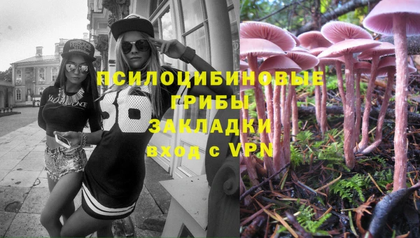 mdpv Бугульма