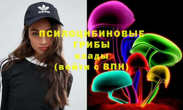 молекула духа Бородино