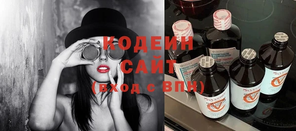 молекула духа Бородино