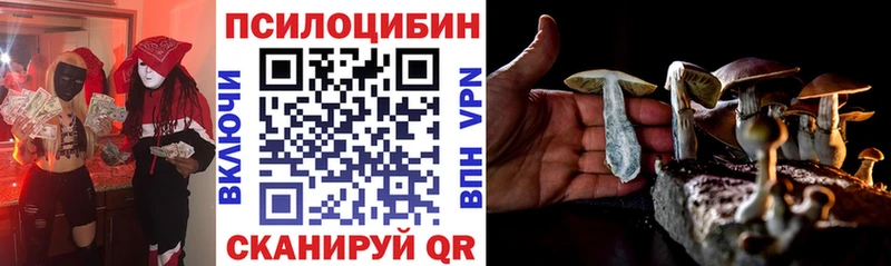 Псилоцибиновые грибы MAGIC MUSHROOMS  Венёв 